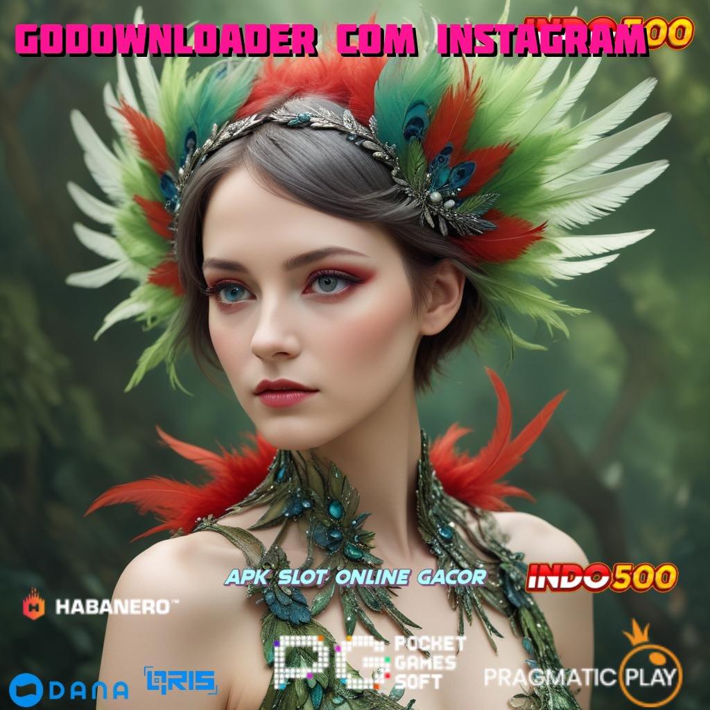 Godownloader Com Instagram