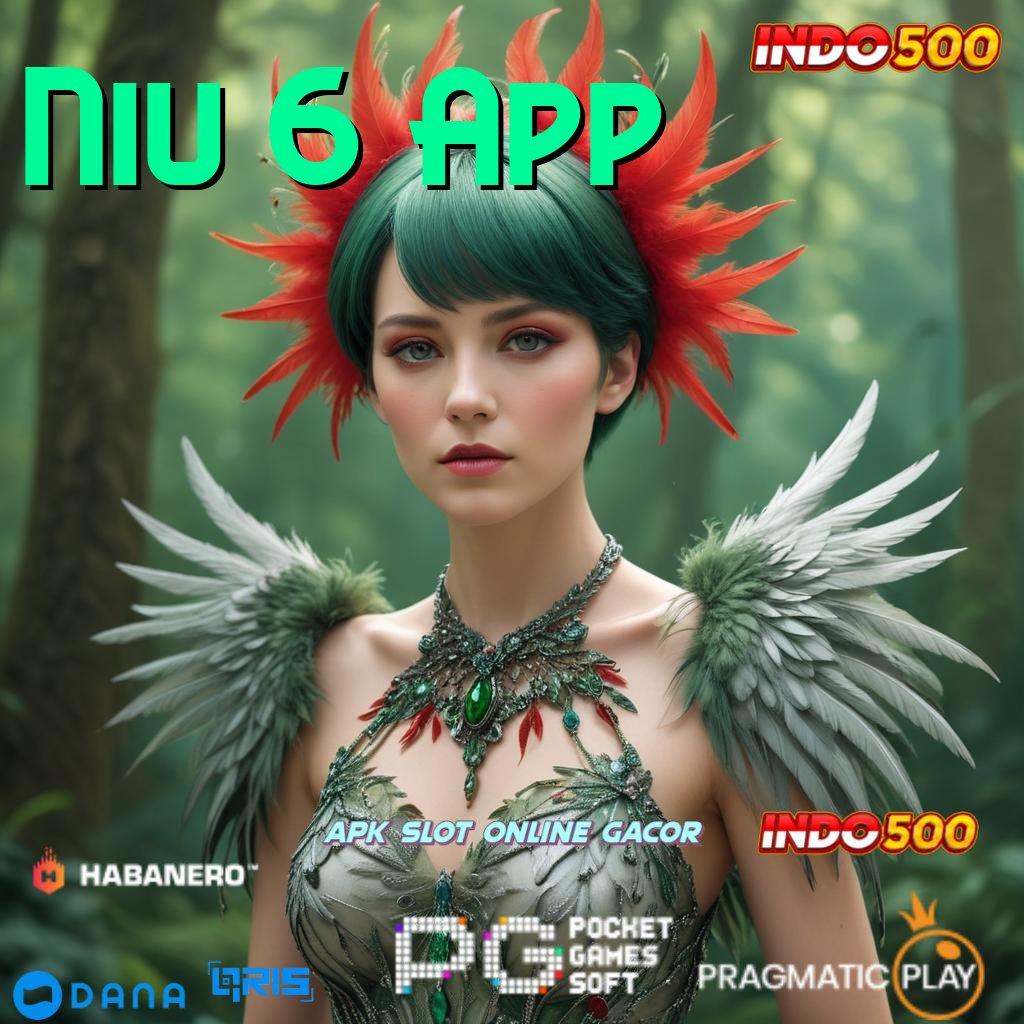 Niu 6 App